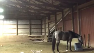 Girl acts sad to see how her horse will react.