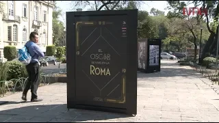 “Oscar reaches Roma neighborhood”, activities surrounding Cuaron´s film