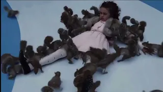 Veruca Attacked by Squirrels