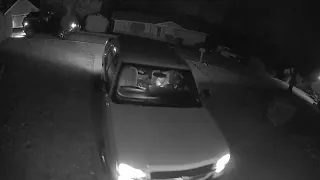 Jefferson County woman's Chevy Avalanche stolen from the driveway