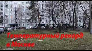 Московская зима в 2020 году/ Зима без снега 16.01.2020г./ Зима будет или нет в этом году?Мой двор.