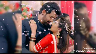 abhi pragya || romantic song || kumkum bhagya