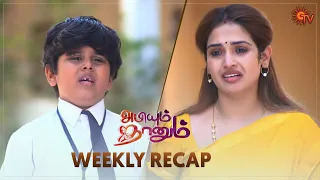 Abiyum Naanum | Ep 462 - 467 Recap | Weekly Recap | Sun TV | Tamil Serial