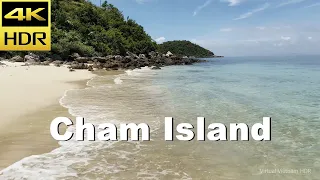 4K HDR | Walking Cham Island in Hoi An | the pearl of Quang Nam | Vietnam 2023 -With Captions