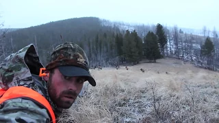 S:5 E:12 Late Season Elk Hunt in Montana with Remi Warren of SOLO HNTR