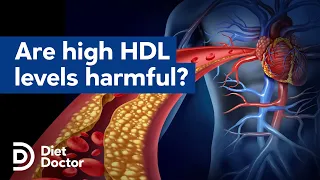 Are high HDL levels harmful?