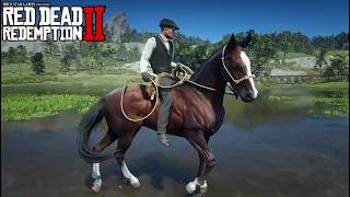 Domei o PURO SANGUE INGLUÊS no- RED DEAD REDEMPTION 2