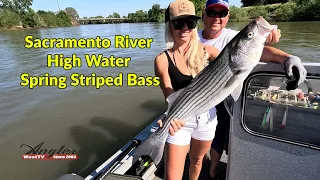 Sacramento River High Water Spring Striped Bass