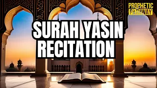 Surah Yasin Recitation Full | Beautiful Recitation | Best Quran Recitation