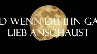 ANSTANDSLOS & DURCHGEKNALLT - Mann im Mond (Rolexz Remix)