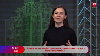 Алергія на котів: причини, симптоми та як з нею боротись?