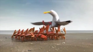 Crab/Seagull