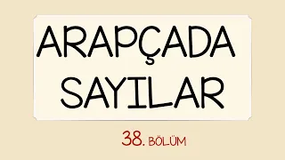 ARAPÇADA SAYILAR 38