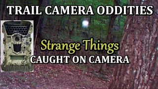 Trail Camera Oddities of Strange Things Caught on Camera