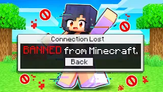 Aphmau Was BANNED From Minecraft!