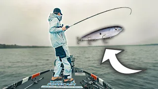 Topwaters Catch BIG BASS! (You NEED This Lure)