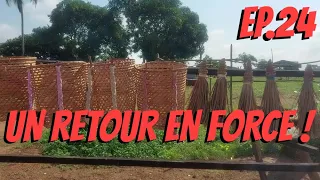 #24 : Un retour en force ! -Voyage solitaire en Afrique