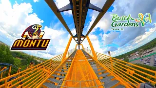 Montu - Inverted Roller Coaster | Front Seat 4K POV | Busch Gardens Tampa | 2023-07-07