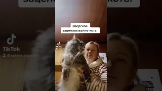 Подпишись на наш инст animal_tsarstvo #смешныевидео #животные #смешныеживотные