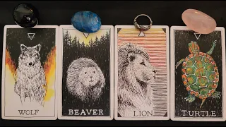 ✨ How are they FEELING about you right now? 💖💕💞 PICK A CARD Timeless Love Tarot Reading