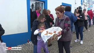 Bodo leite (2º Vídeo) 2023 Santo Antão Ilha São Jorge