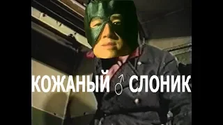 КОЖАНЫЙ ♂ СЛОНИК