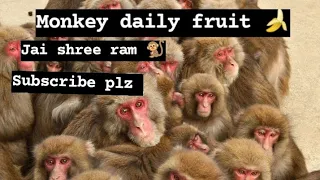baccho ki game 🐒...#trending #subscribe #shreeram #shorts #viral #rammandir #please #monkey feeding