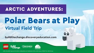 Arctic Adventures: Polar Bears at Play Virtual Field Trip (All Ages) | Tundra Connections