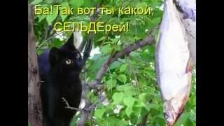 Прикольная Котоматрица