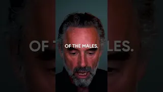 How ANTISOCIAL People are Formed - Jordan Peterson