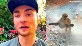 Utah man recounts terrifying encounter with cougar who stalked him on hiking trail | ABC7
