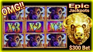 ⚠️Omg! Epic Jackpots in $300 bet Buffalo Gold Collection Slot | High Limit