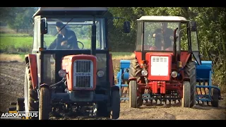 ㋡Uprawa i Siew Żyta Na Wesoło!㋡Ursus C-360 & Władimirec T-25✔ Agro Awuus✔