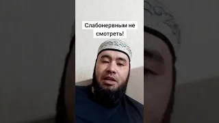 Слабонервным не смотреть!