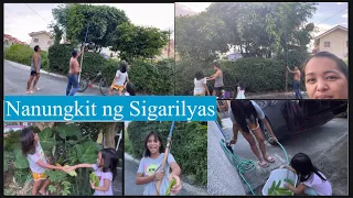 Nag Harvest ng Sigarilyas/Fresh from the Sideyard😃