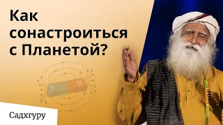 Наше тело — магнит. Как притянуть здоровье и оттолкнуть аллергию?