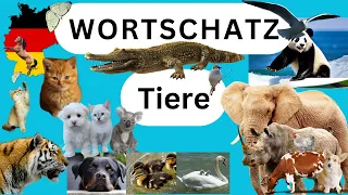 Wortschatz "Tiere" | Deutsch lernen learning german 100 Vokabeln Substantiv Hauptwort #deutschlernen