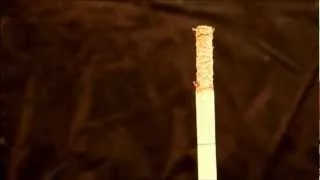 Тлеющая сигарета Decaying cigar