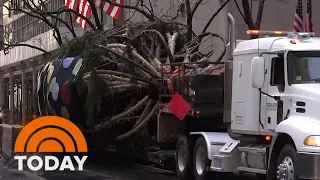 Rockefeller Center Christmas Tree Rolls Into Plaza For 2022 Holidays