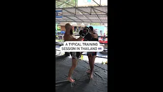 Think you could survive a Muay Thai training session in Thailand? 🇹🇭