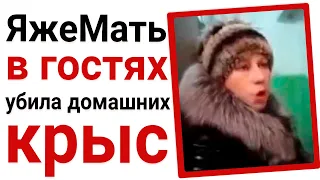 Яжемать в гостях убила домашних мышей