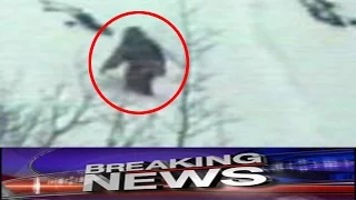 Bigfoot seen playing in snow near Oregon border - BCS