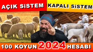 100 KOYUN ALINIR MI? - 2024 (Koyunculuk)