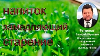 Сок ростков ржи -  напиток против старения