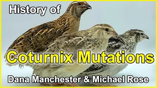 History of Coturnix Mutations - with Dana Manchester & Michael Rose