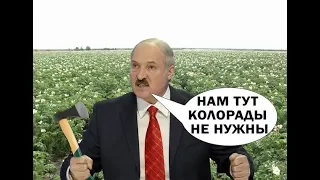 Юмор СТЁБ - "Депутаты бывают разные..."