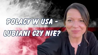 POLACY SĄ NIELUBIANI / ŻYCIE W USA / #polacy #usa #vlog