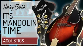 Harley Benton - HBMA-100 VS - Mandolin - Presentation -