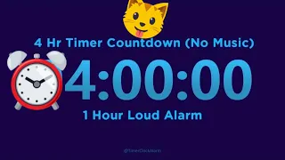 4 Hour Timer Countdown (No Music) with 1 Hour Loud Alarm