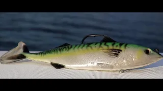 LIVETARGET Saltwater Swimbaits